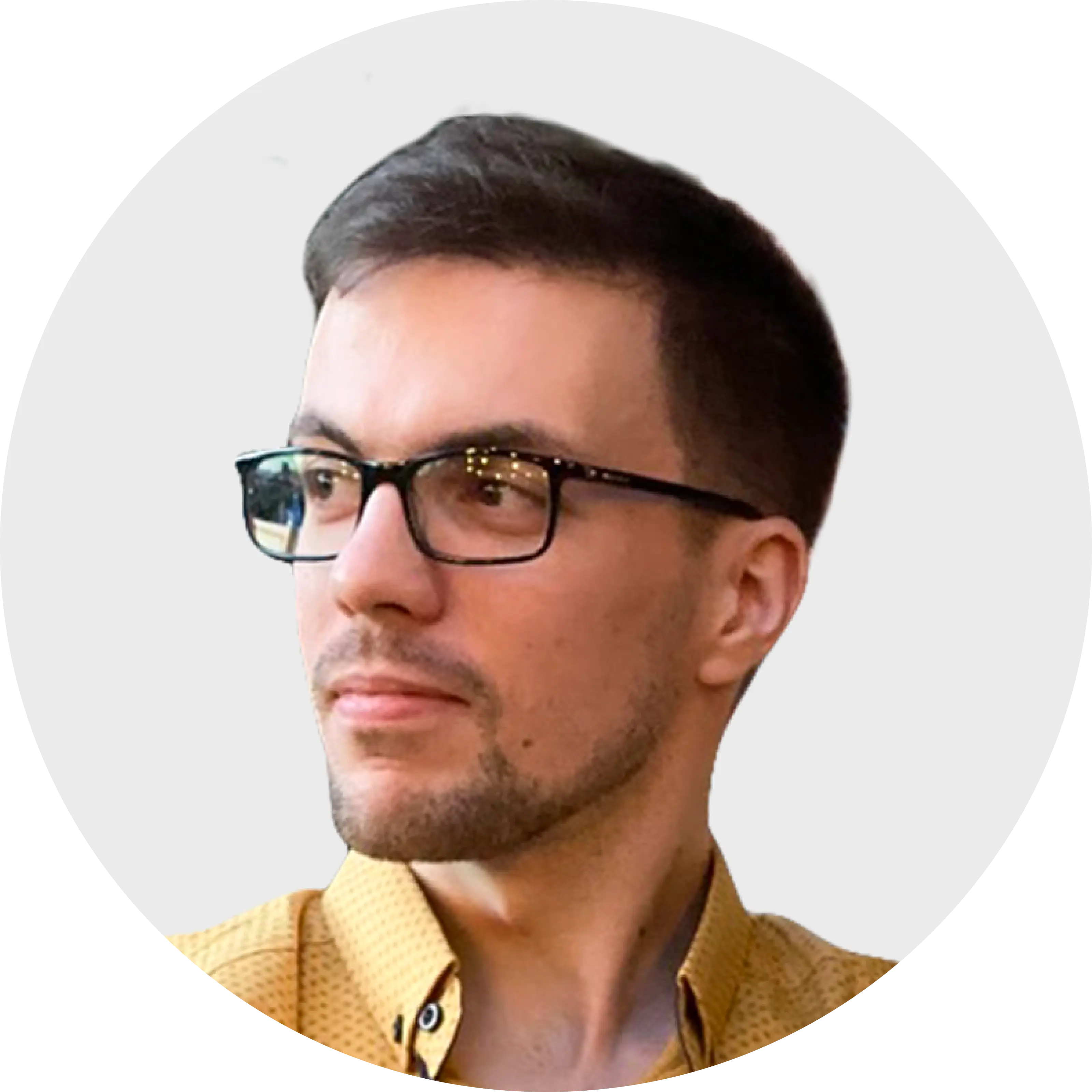 Software Architect