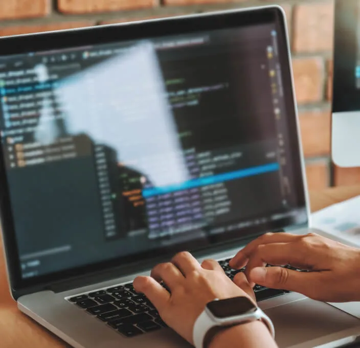 Software Development for Automotive Suppliers